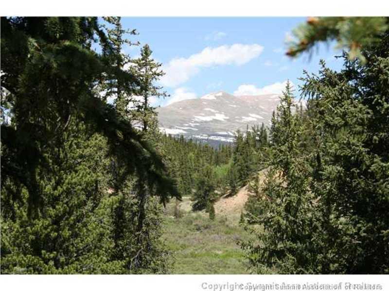 206 Pine Ridge Road Alma, CO 80420 - Photo 16 of 24 Gallery Image 16