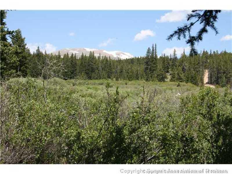 206 Pine Ridge Road Alma, CO 80420 - Photo 21 of 24 Gallery Image 21