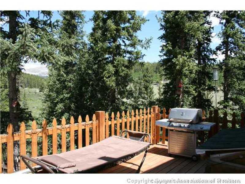 206 Pine Ridge Road Alma, CO 80420 - Photo 8 of 24 Gallery Image 8