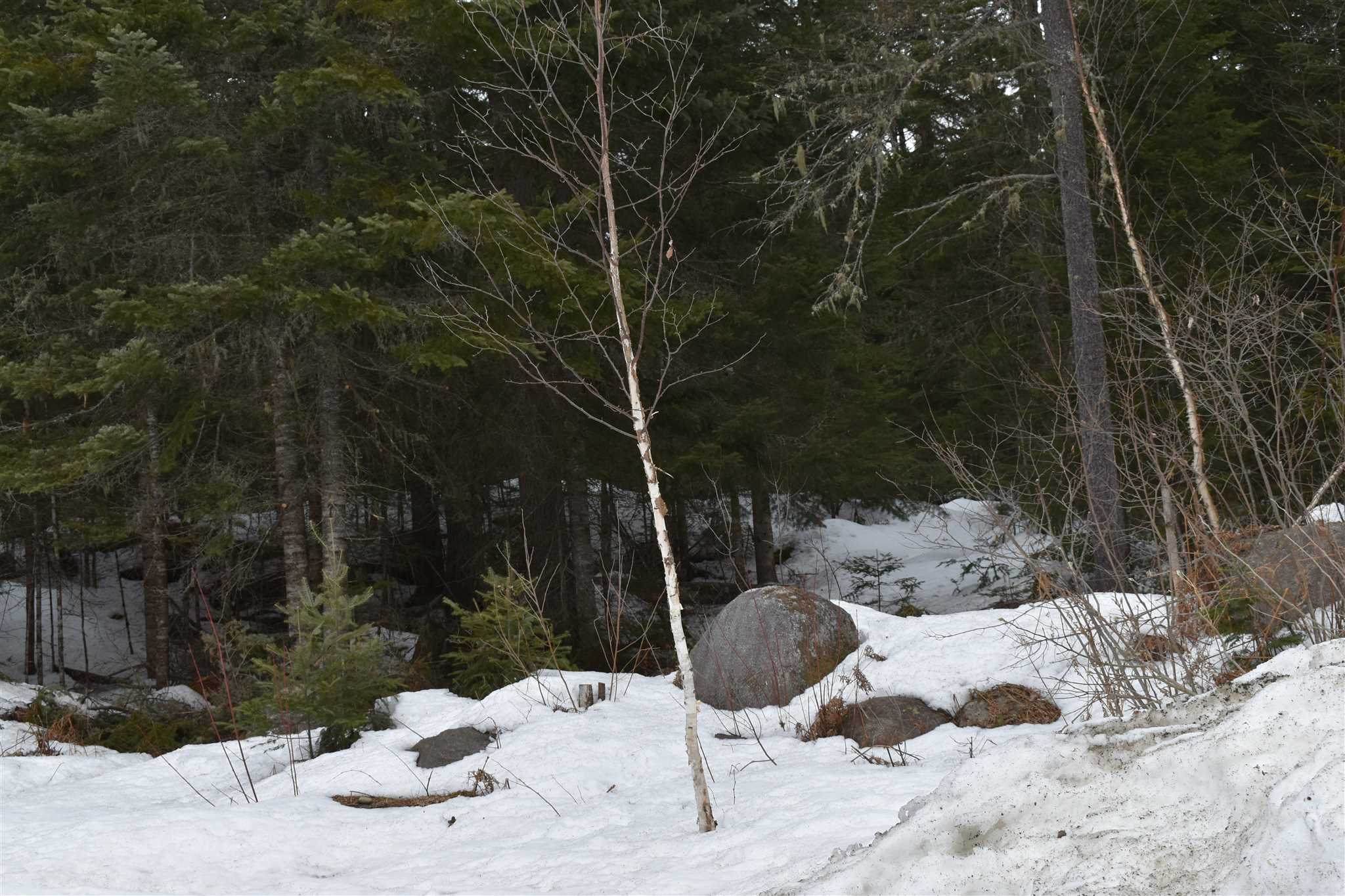 301 Dam Road Errol, NH 03579 - Photo 4 of 21