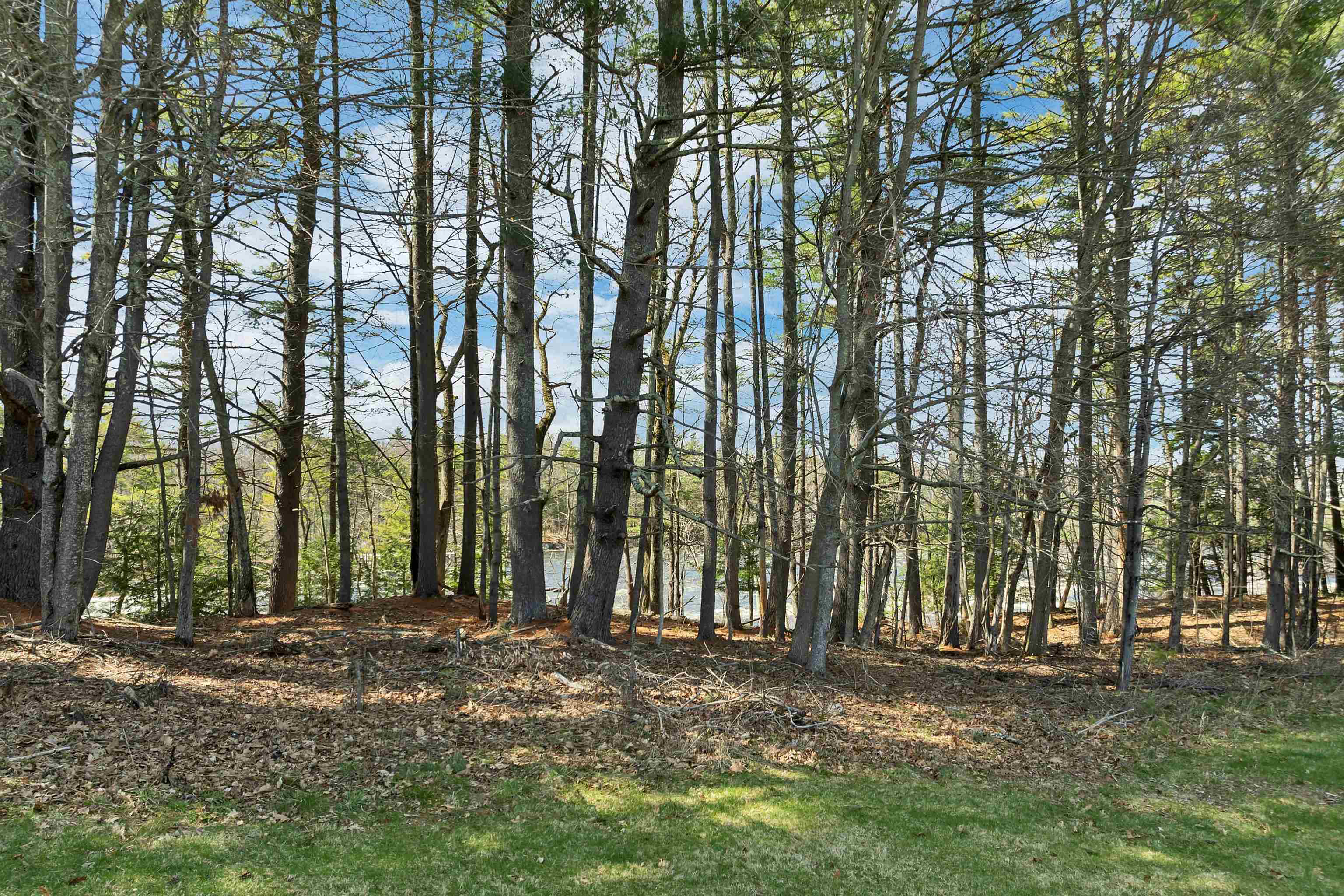 12 Hummingbird Lane Standish, ME 04085 - Photo 12 of 60