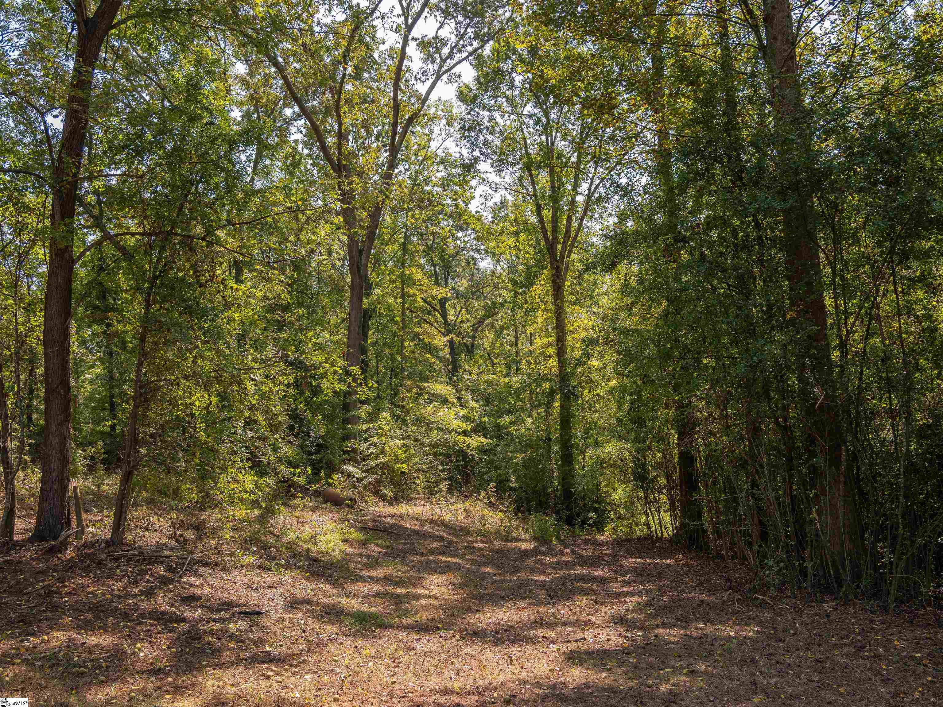 0 Lafrance Road Gate City, VA 24251 - Photo 24 of 32 Gallery Image 24