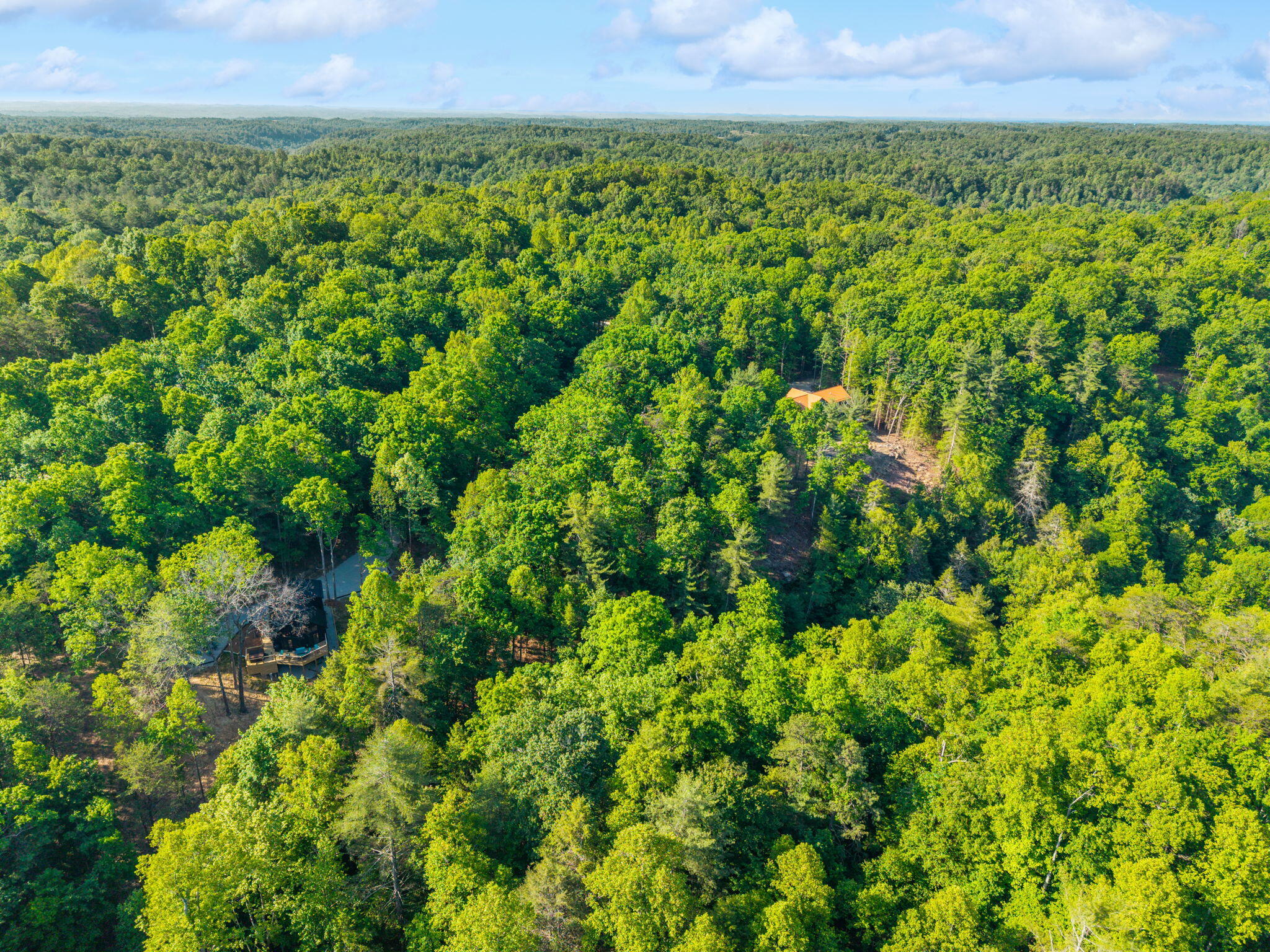 230 Eureka Road Zoe, KY 41397 - Photo 13 of 25 13-web-or-mls-DJI_20260518092837_0035_D