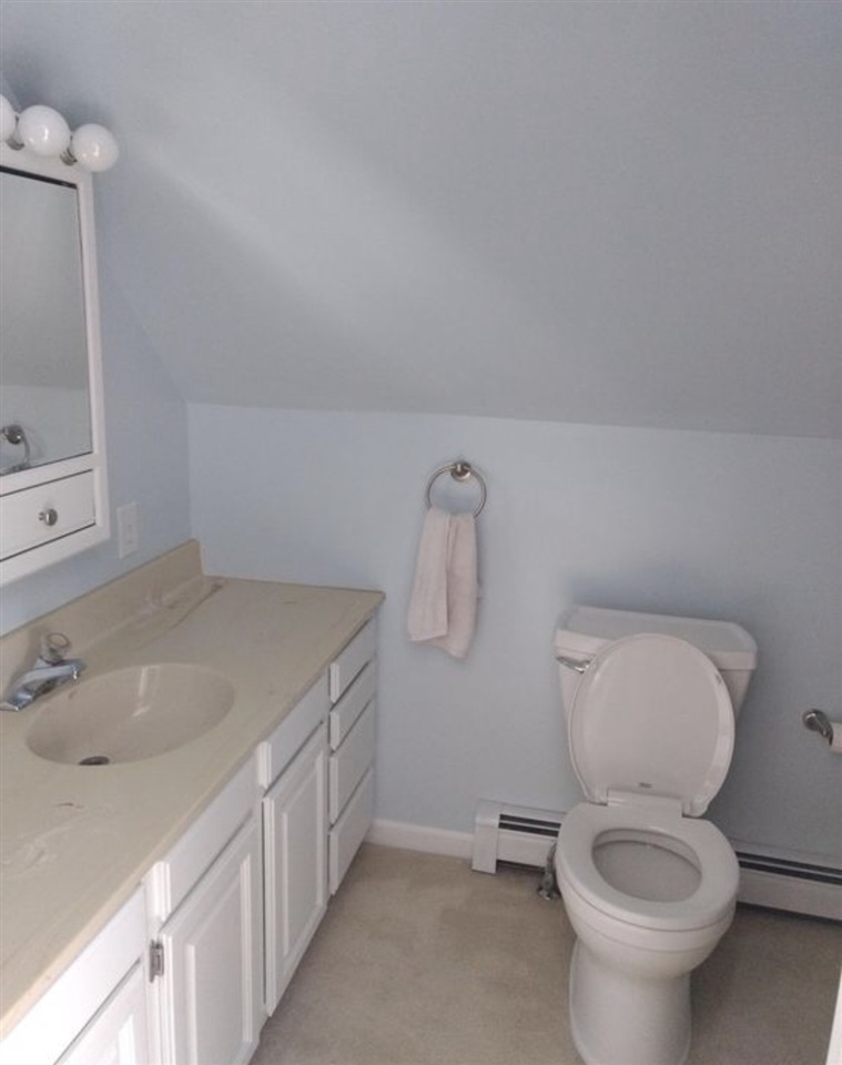 5347 North Loomis Road Mount Pleasant, MI 48858 - Photo 7 of 12 1868375-6.JPG