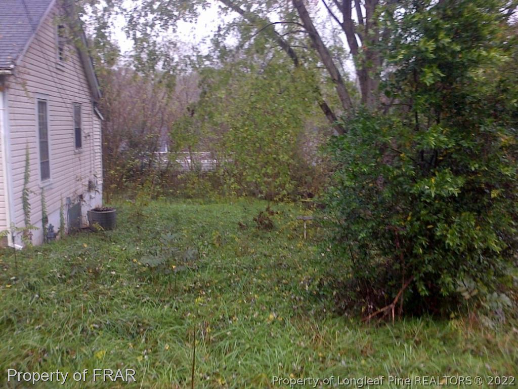 60 3rd Ave Pee Dee Rockingham, NC 28379 - Photo 4 of 14 a view of a lush green forest