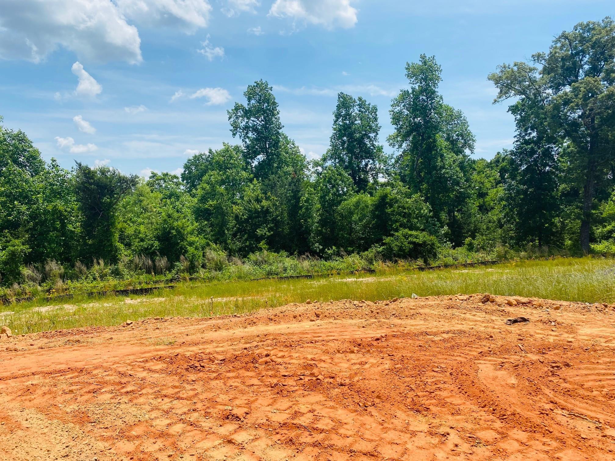 578 New Cut Meadows Road Inman, SC 29349 - Photo 6 of 15
