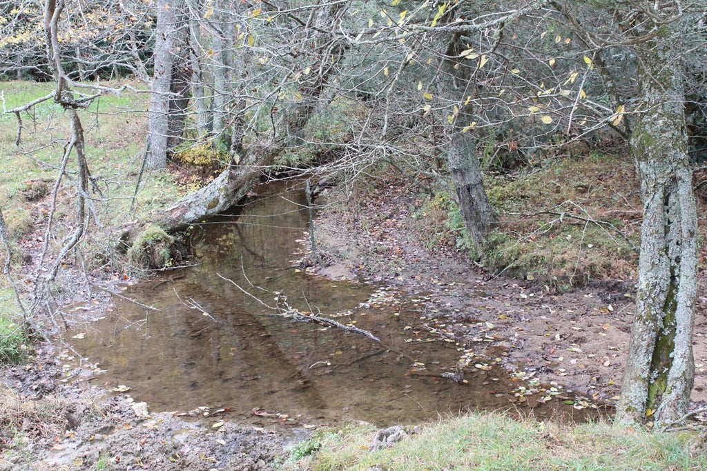Tbd Terry's Mill Road, Unit 121A61 Laurel Fork, VA 24352 - Photo 26 of 71 Gallery Image 26