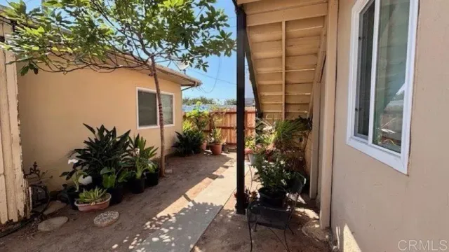 a potted plant sitting in front of a house