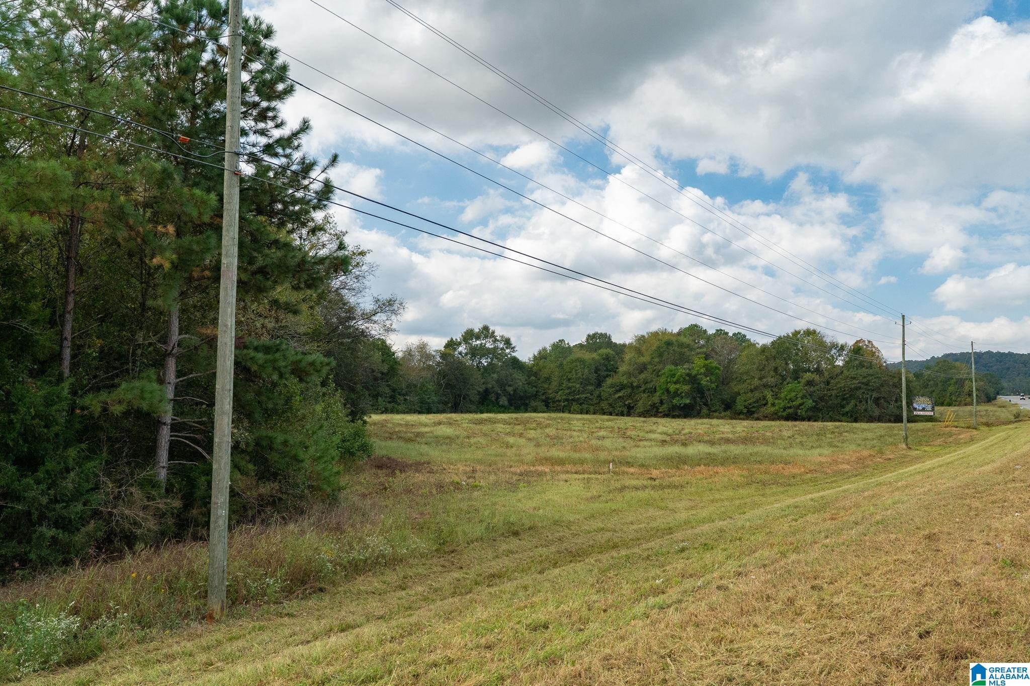 0 Allred Road, Unit PARCEL #5 Lincoln, AL 35096 - Photo 22 of 24