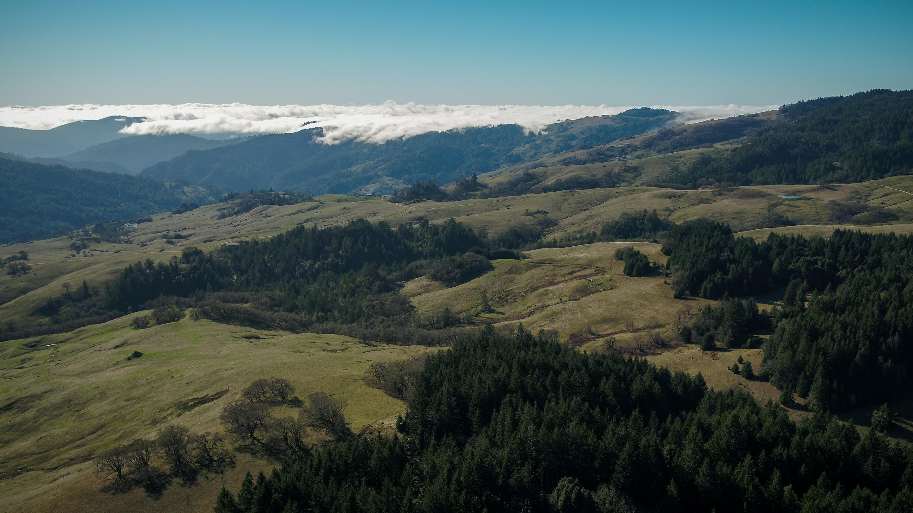 160-acres Butte Creek Road Kneeland, CA 95549 - Photo 43 of 56