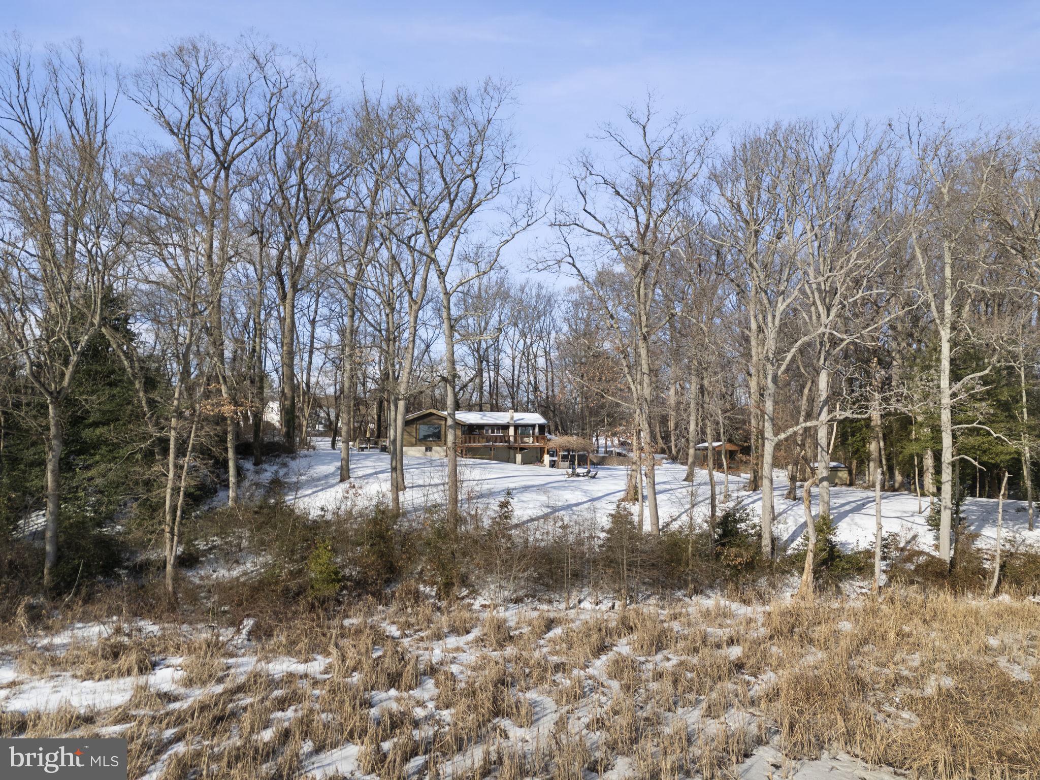 137 Plum Point Road Elkton, MD 21921 - Photo 39 of 54 a view of yard with trees