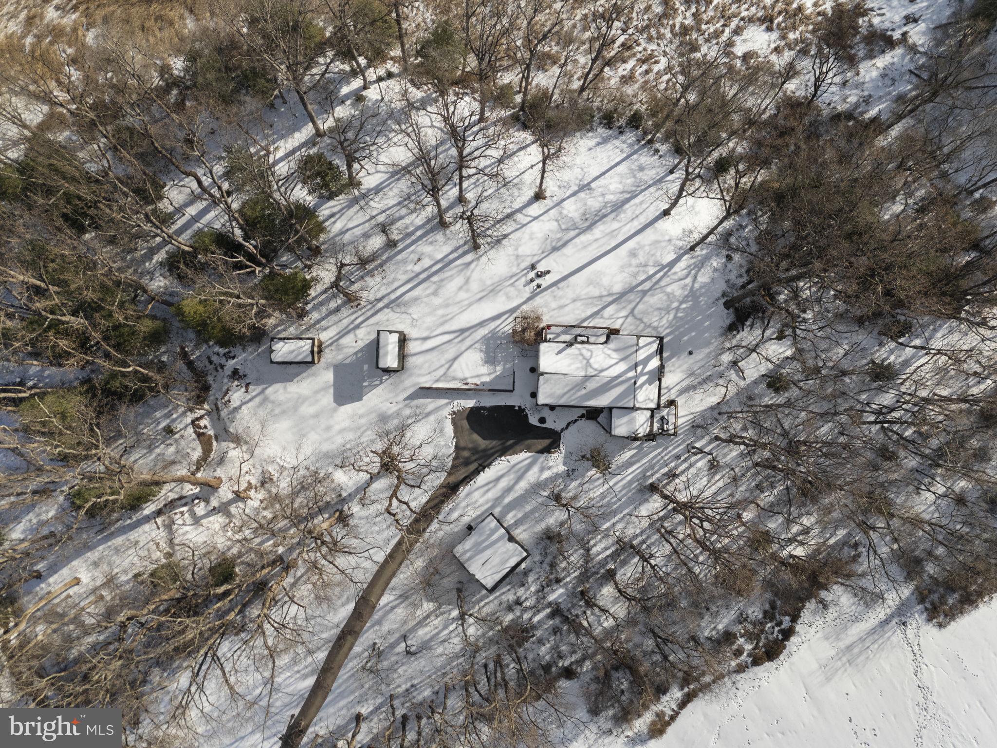 137 Plum Point Road Elkton, MD 21921 - Photo 40 of 54 a view of a yard with a tree