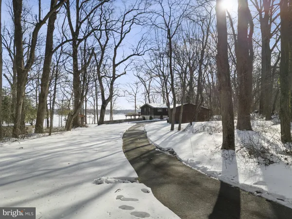 a view of a wooden deck with large trees and wooden fence