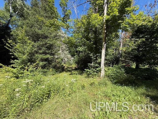 6304 Duck Lake Road Florence, WI 54121 - Photo 9 of 12