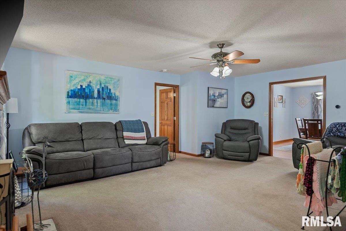 1409 James Street Springfield, IL 62703 - Photo 20 of 61