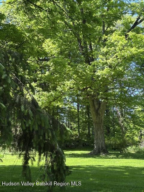 118 Maple Hill Road Rosendale, NY 12472 - Photo 29 of 41 118old tree