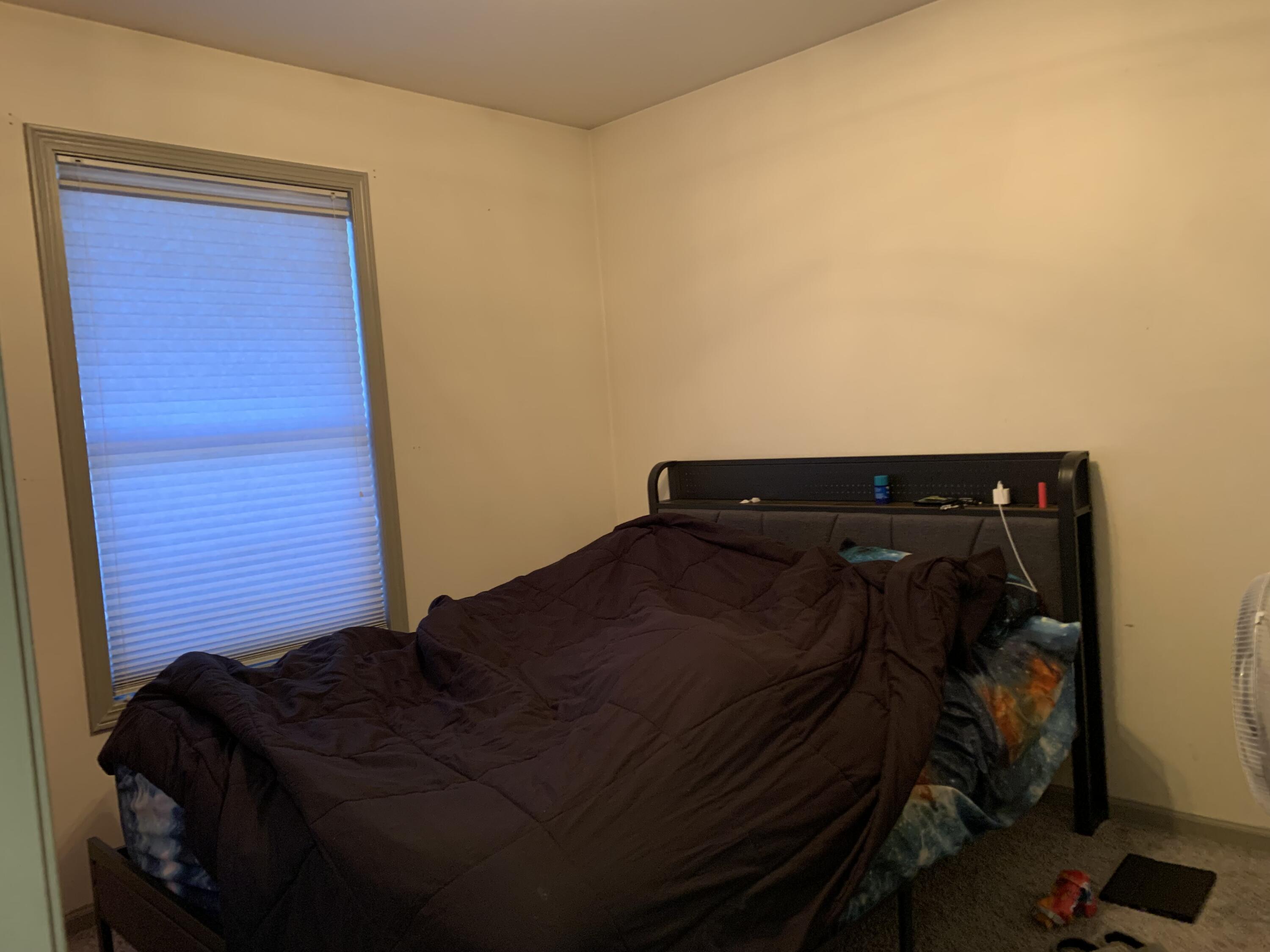 401 Spring Street Lake Geneva, WI 53147 - Photo 7 of 10 IMG_4393