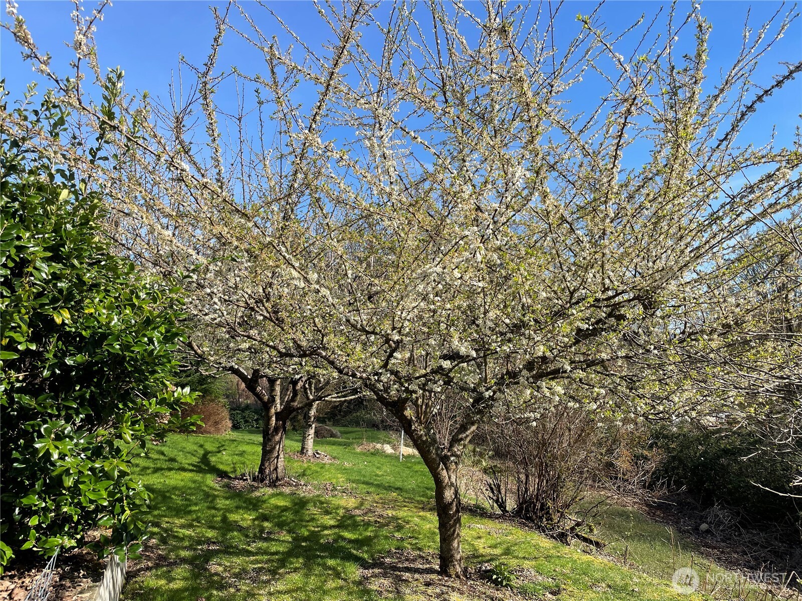 12514 Chain Lake Road Snohomish, WA 98290 - Photo 5 of 27