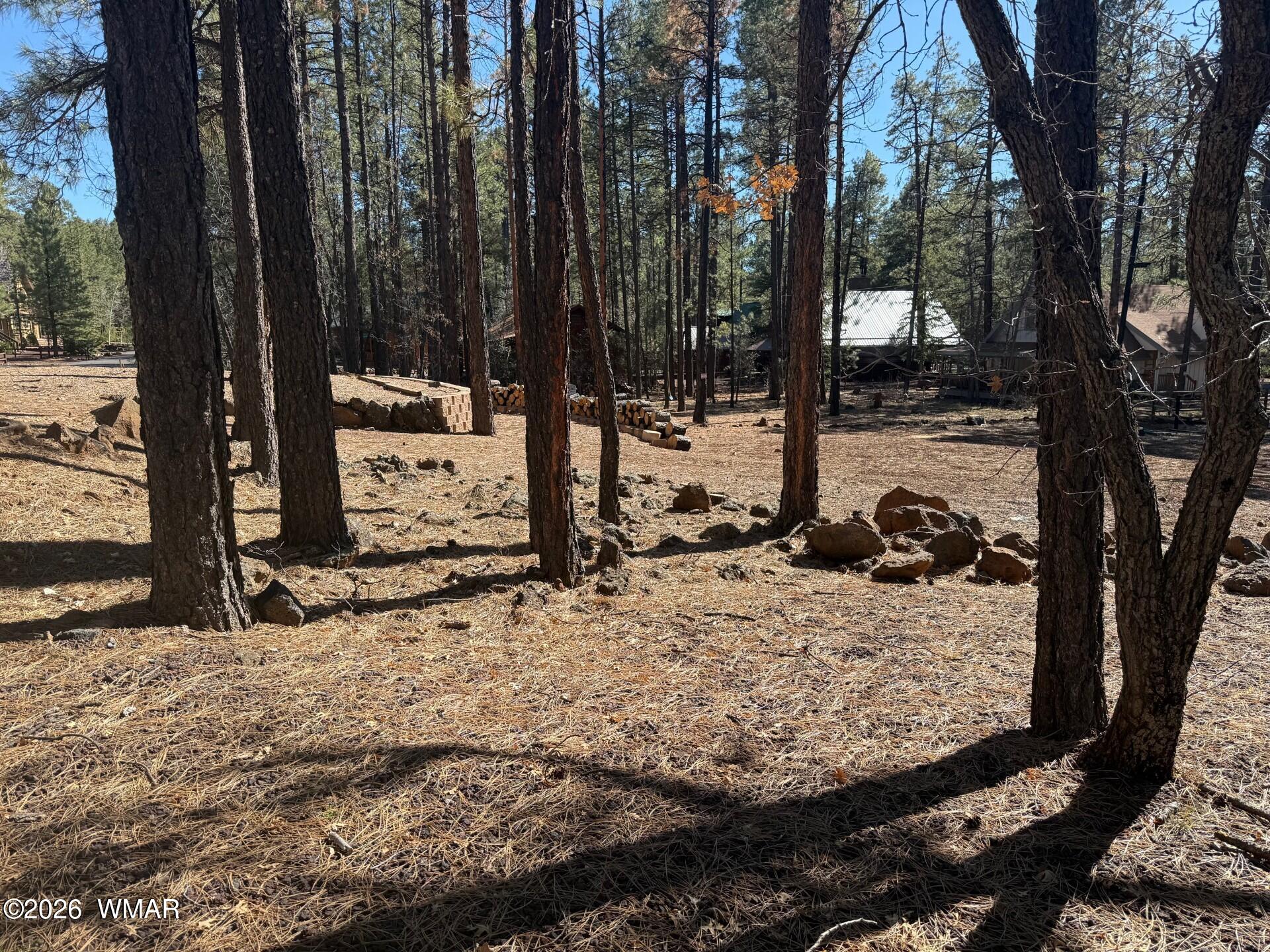 3430 Blacksmith Trail Pinetop, AZ 85935 - Photo 2 of 6 a view of a tree in the backyard of a house