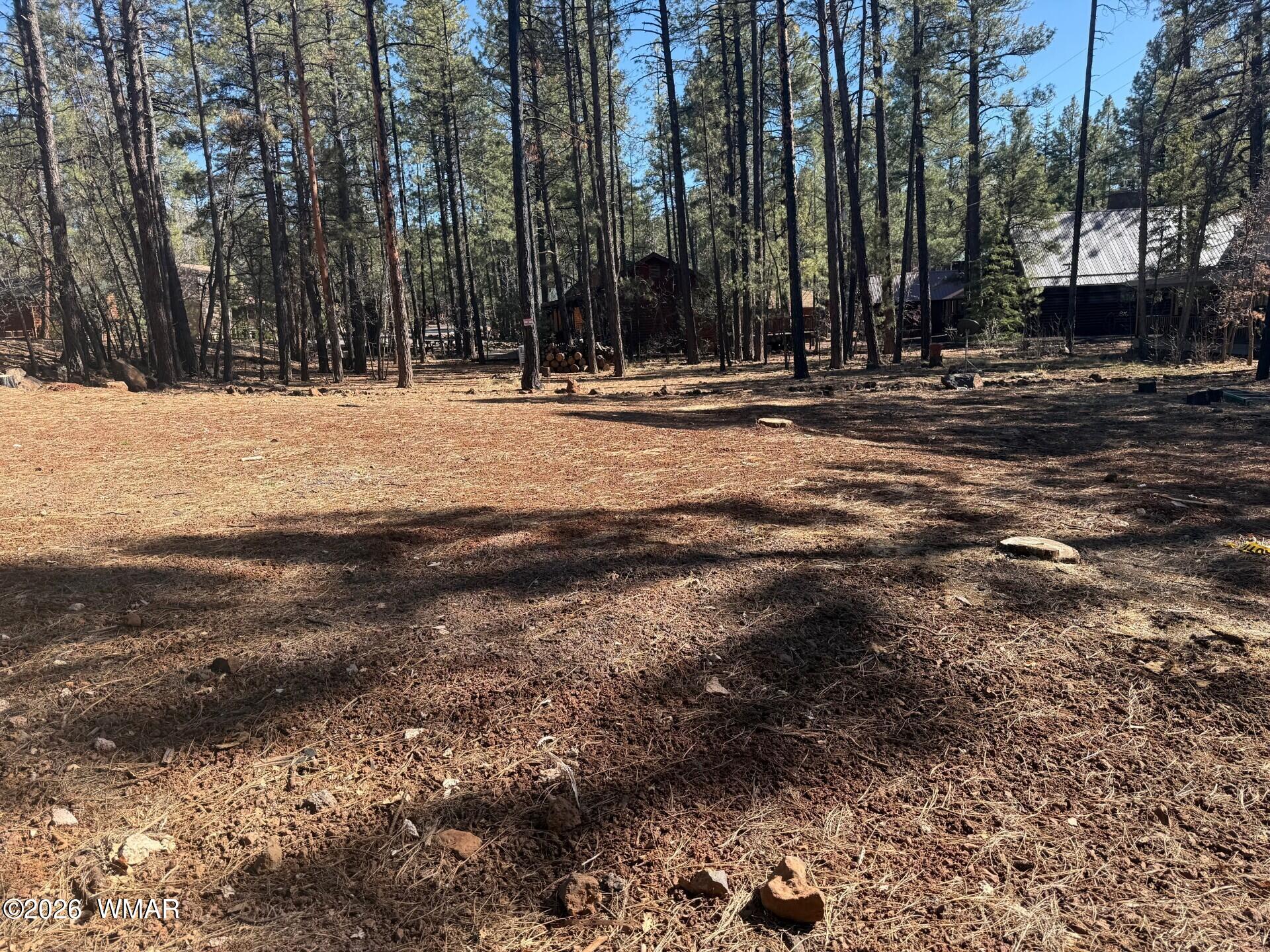 3430 Blacksmith Trail Pinetop, AZ 85935 - Photo 3 of 6 a view of road with trees