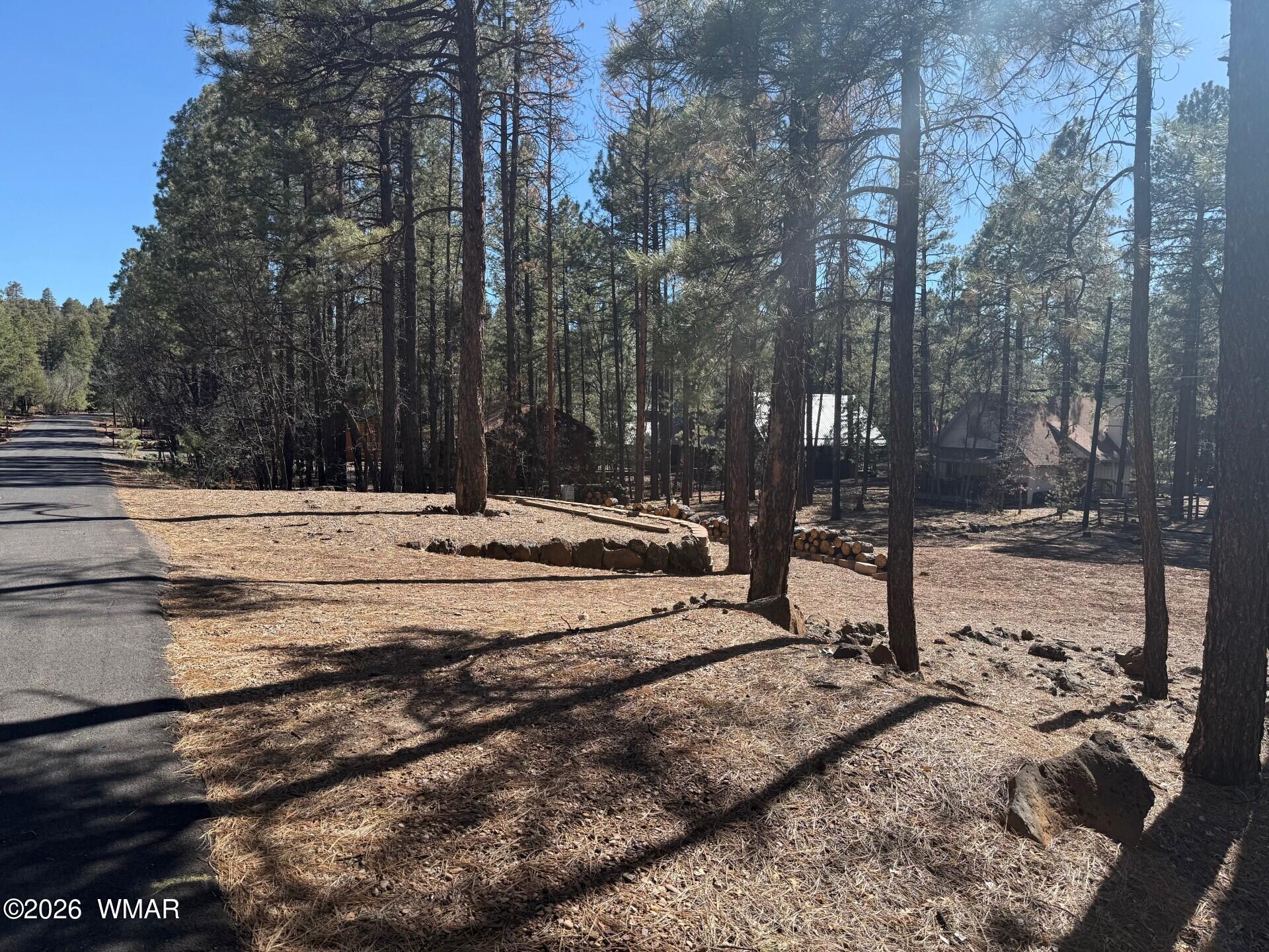 3430 Blacksmith Trail Pinetop, AZ 85935 - Photo 5 of 6 a view of snow on the side of a road
