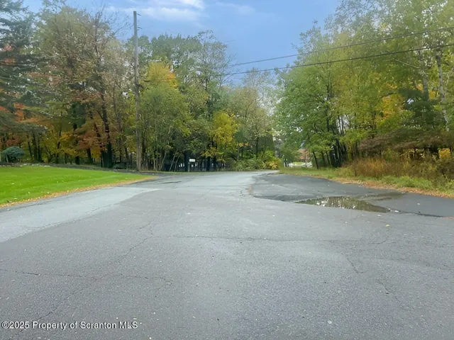 a view of a park with large trees