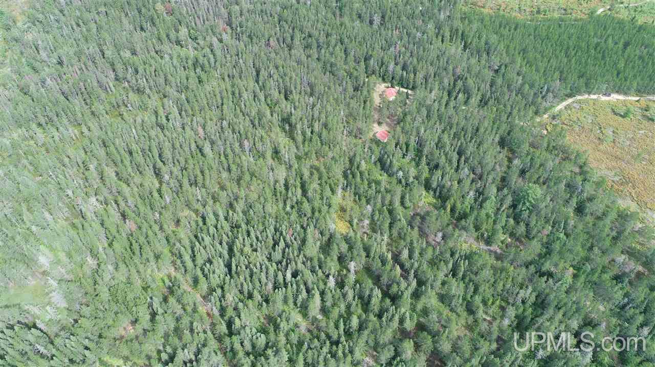 2207 West Co Road Seney, MI 49883 - Photo 22 of 32