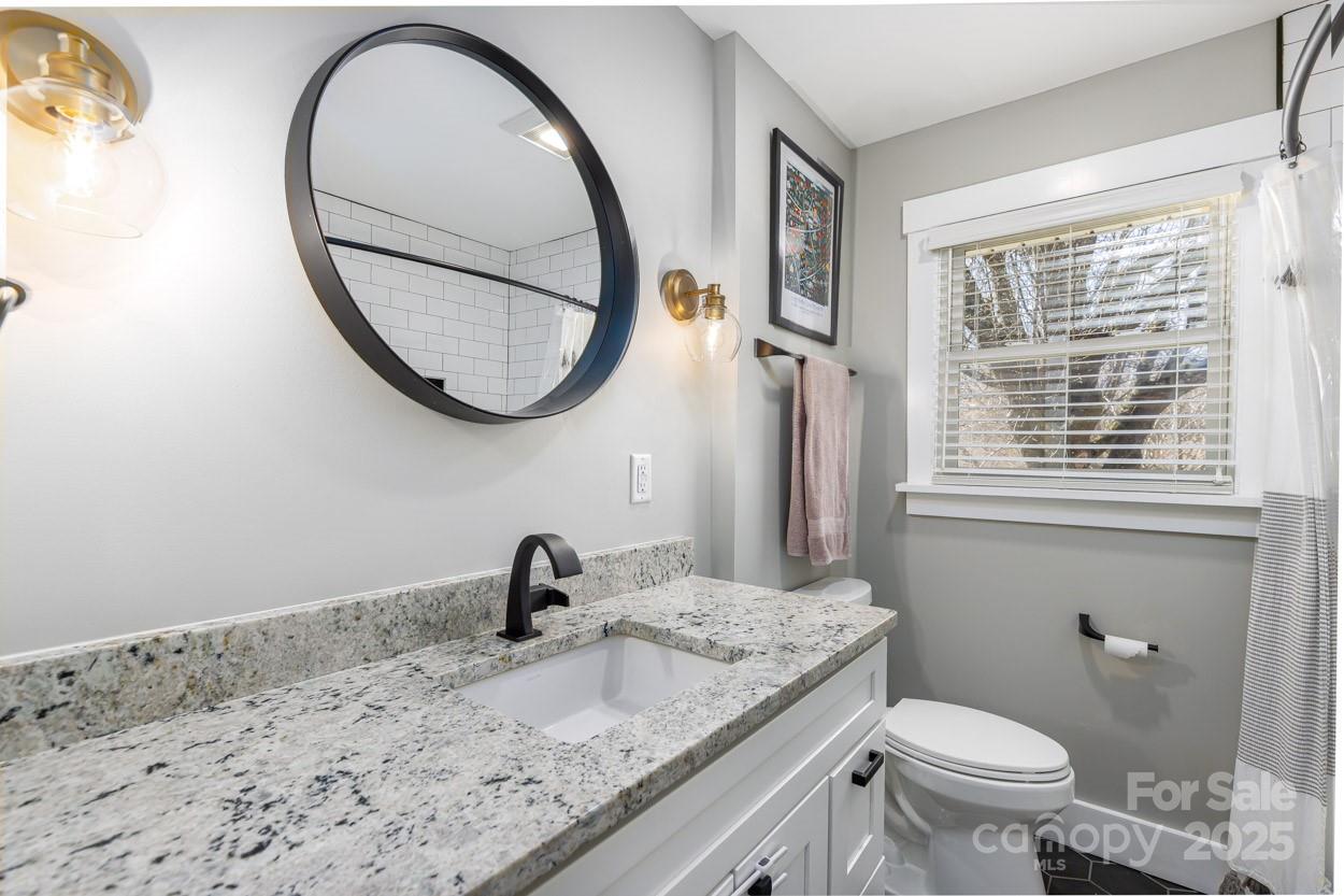 29 Willowbrook Road, Unit 11 Asheville, NC 28805 - Photo 32 of 46 a bathroom with a granite countertop sink a toilet and a mirror