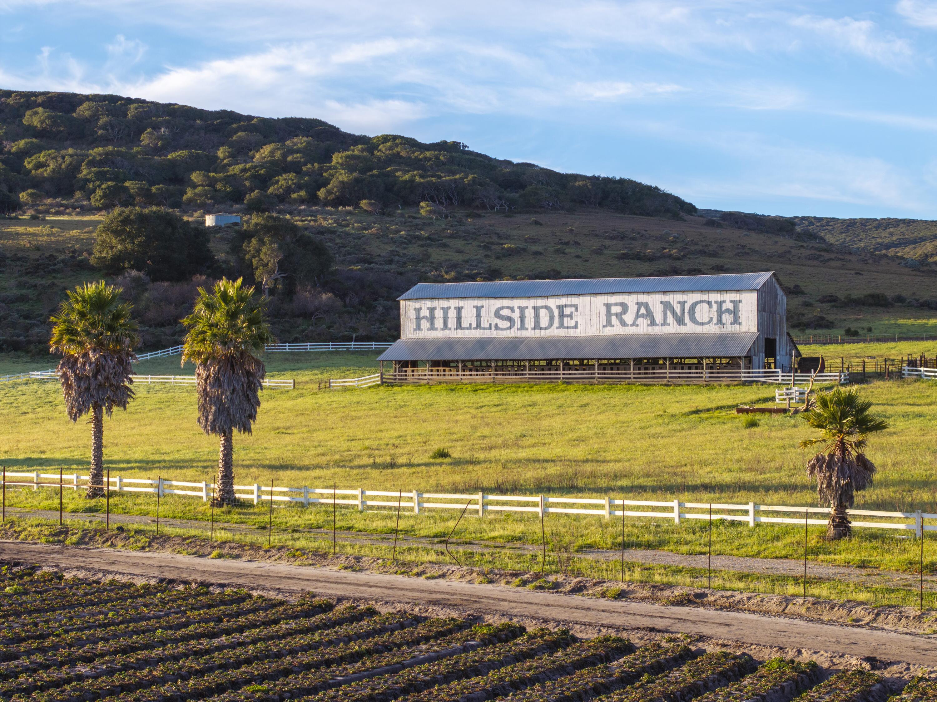 Hillside Ranch - 19
