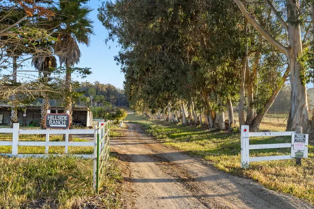 a view of a yard with wooden fence