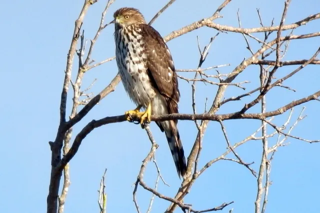 a view of an ocean and beach
