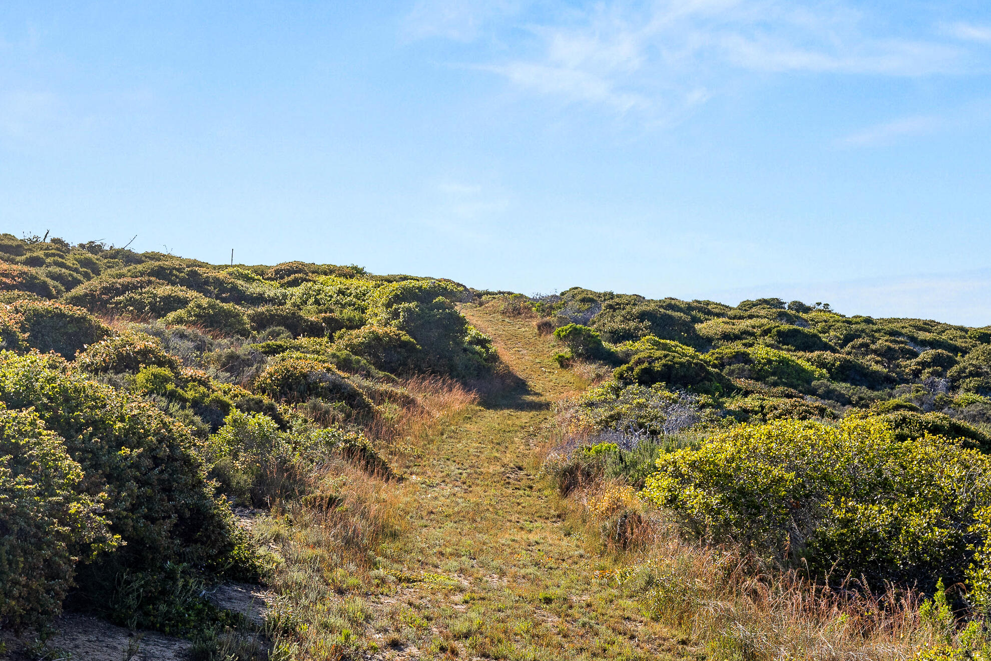 4314 West Ocean Avenue Lompoc, CA 93436 - Photo 48 of 58 Hillside Ranch - Selected for MLS - Web-