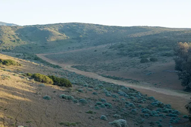 a view of a dry yard with wooden fence