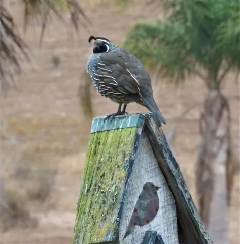 $3,200,000 | 4314 West Ocean Avenue, Lompoc, CA 93436