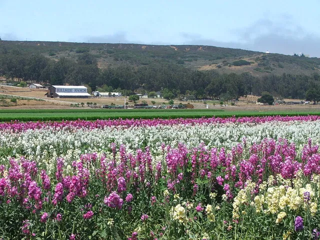 $3,200,000 | 4314 West Ocean Avenue, Lompoc, CA 93436