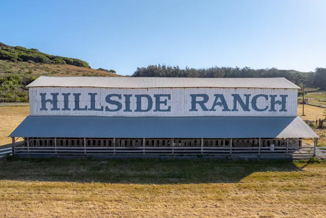 a view of an ocean and beach