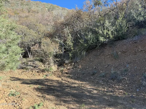 $45,000 | 22550 Gladiator Mine Road, Crown King, AZ 86343