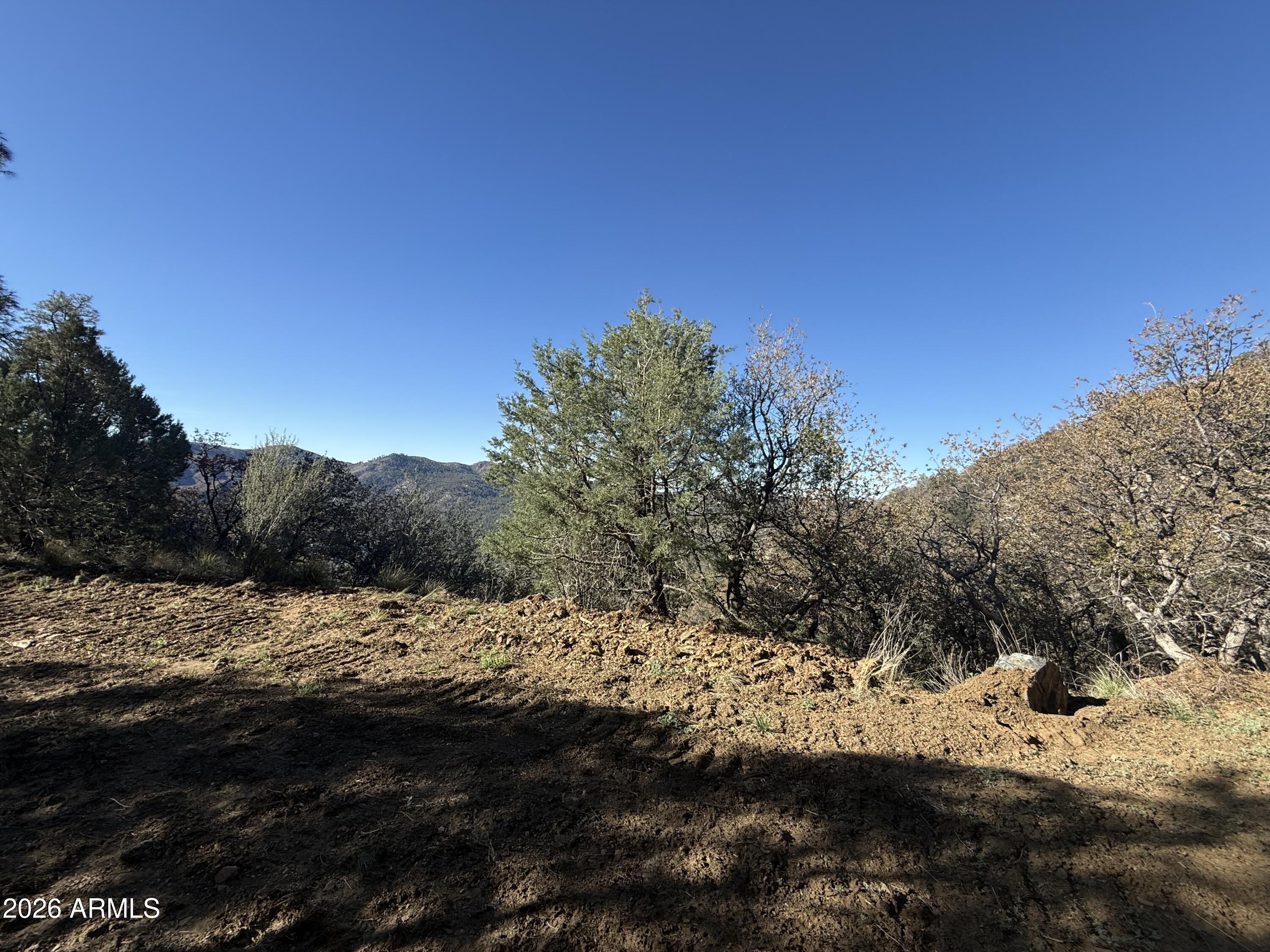 22550 Gladiator Mine Road Crown King, AZ 86343 - Photo 6 of 6 Views