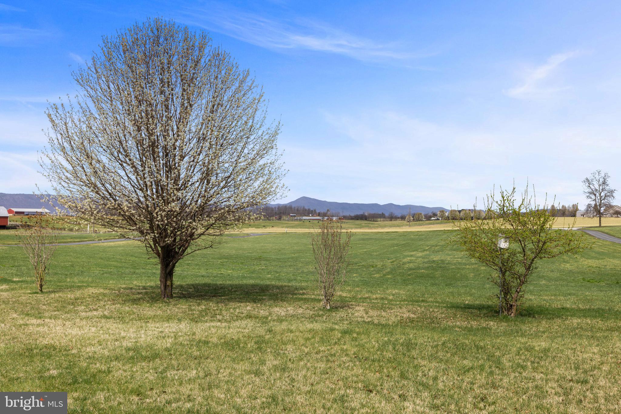 2143 Mill Creek Road Luray, VA 22835 - Photo 57 of 72 Gallery Image 57