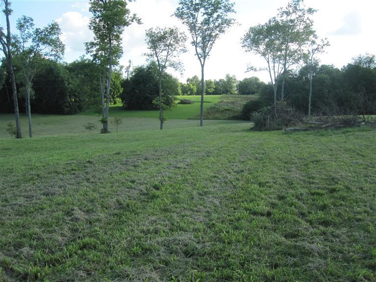 3182 Peacock Road Paris, KY 40361 - Photo 6 of 9 Photo 6
