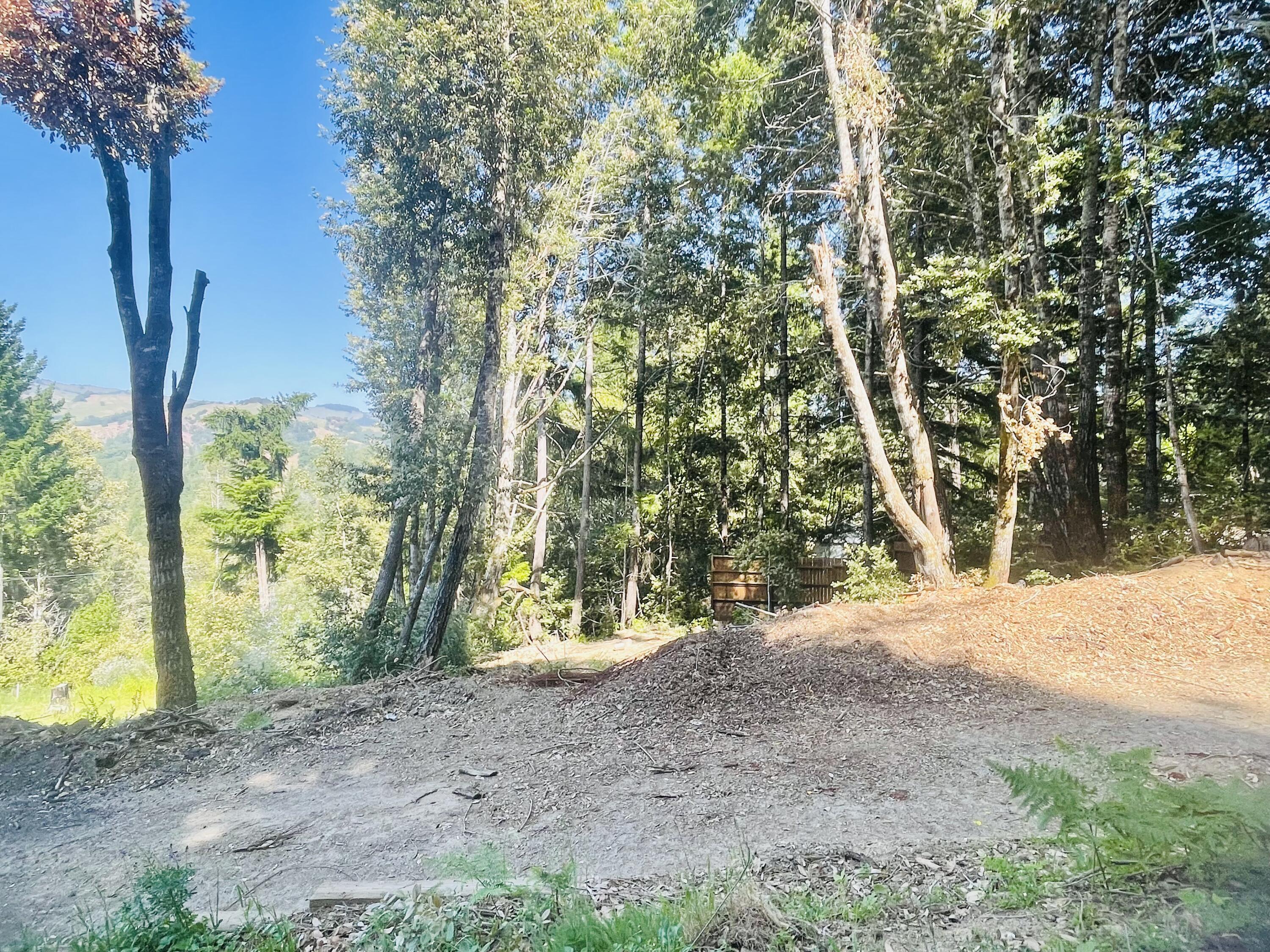 360 Graycliff Road Garberville, CA 95542 - Photo 61 of 63