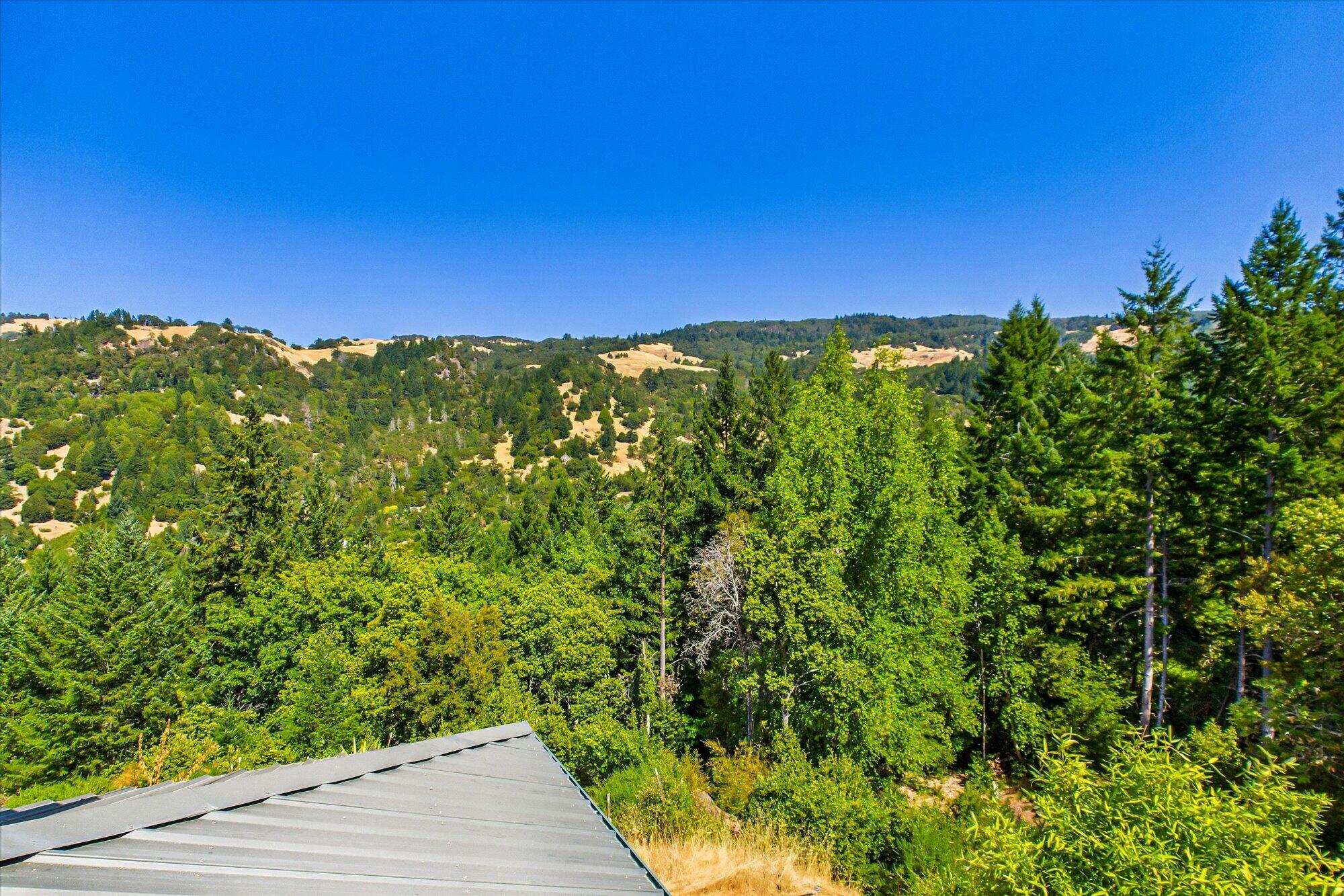 981 Mahan Road Garberville, CA 95542 - Photo 66 of 80