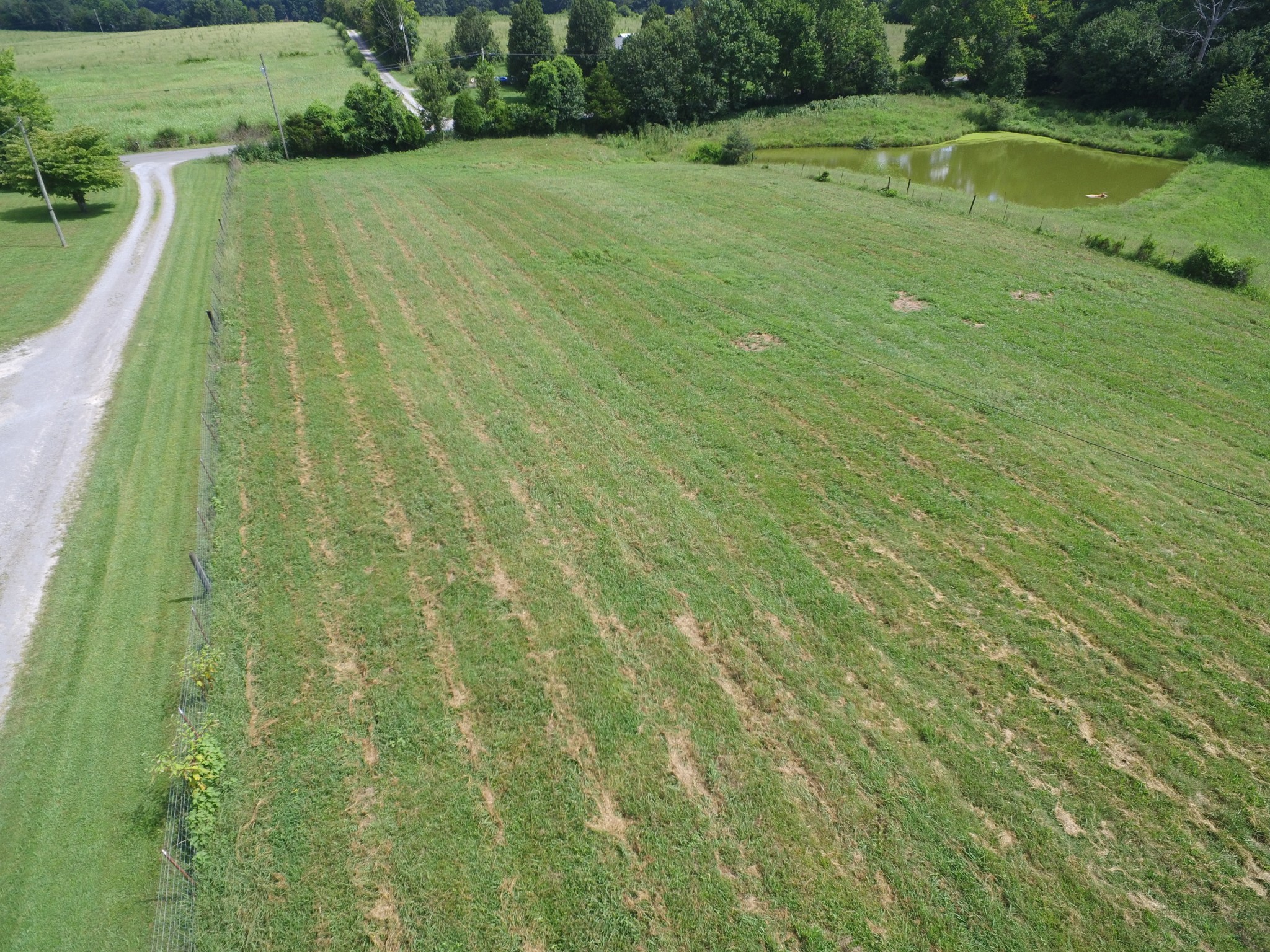 1 Old Mill Hill Road Dowelltown, TN 37059 - Photo 1 of 11
