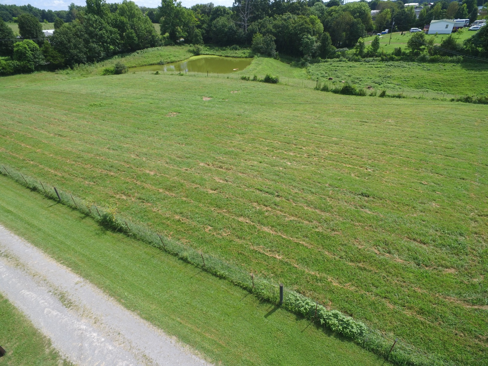 1 Old Mill Hill Road Dowelltown, TN 37059 - Photo 3 of 11