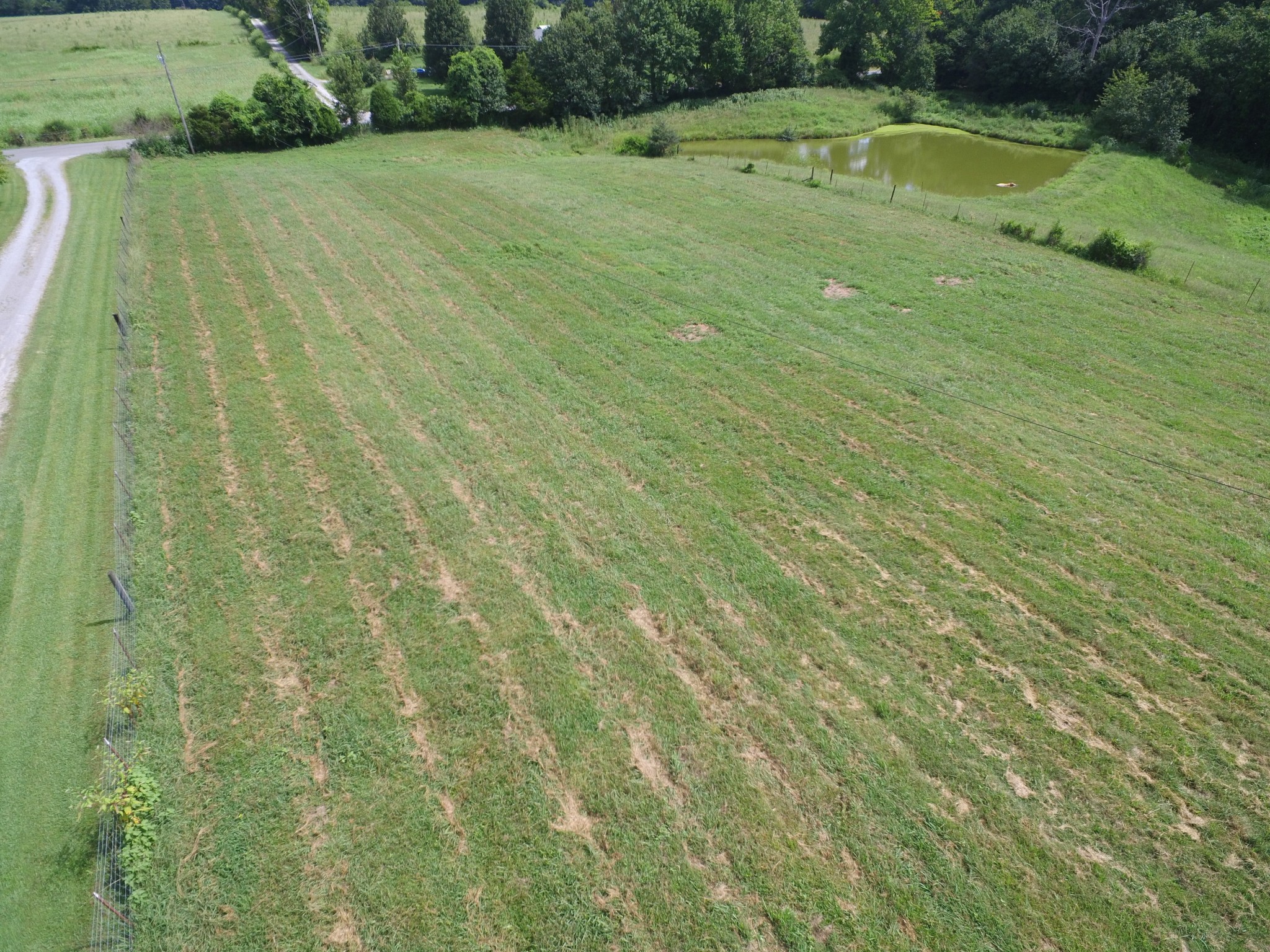 1 Old Mill Hill Road Dowelltown, TN 37059 - Photo 4 of 11