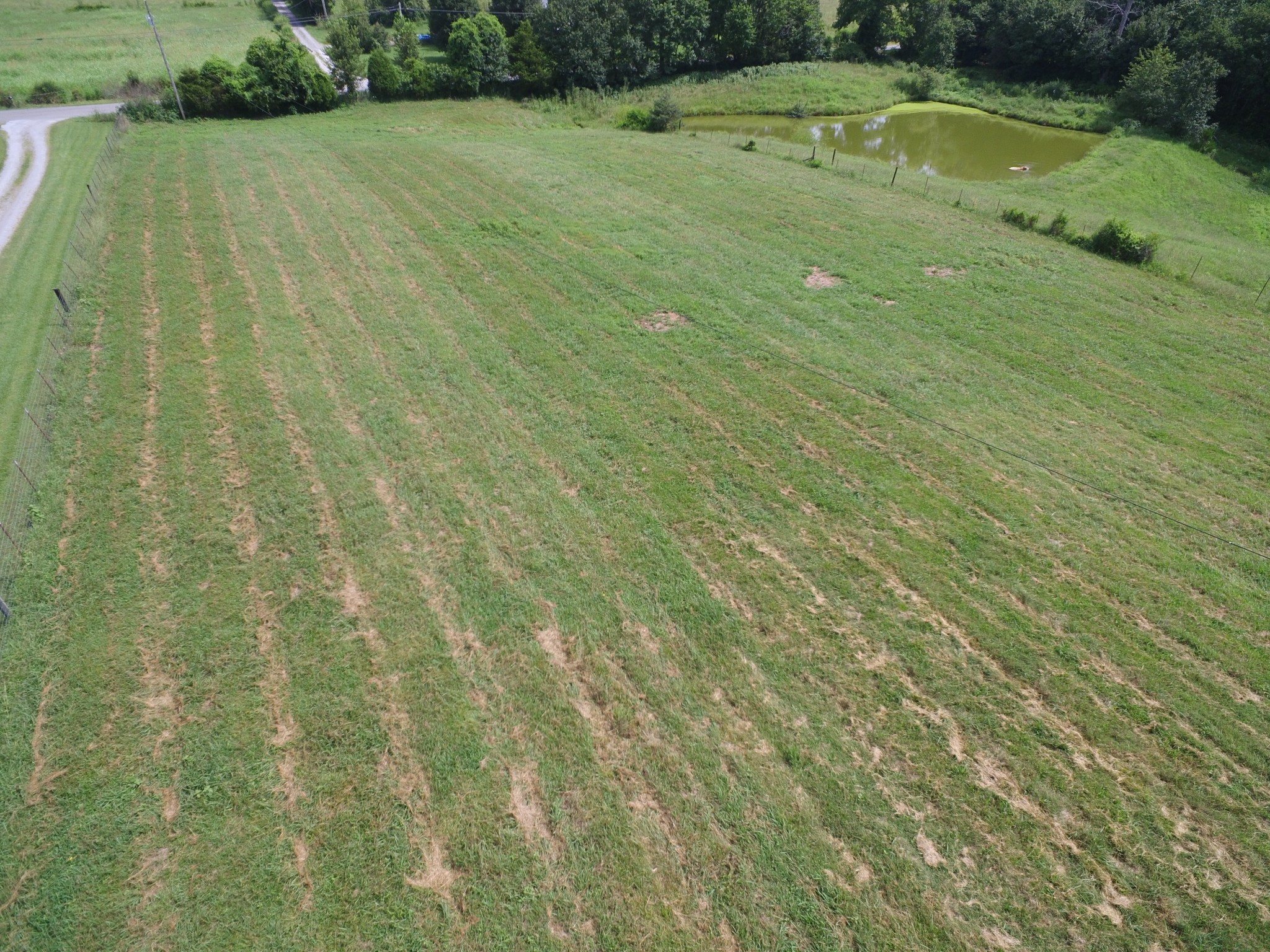1 Old Mill Hill Road Dowelltown, TN 37059 - Photo 6 of 11