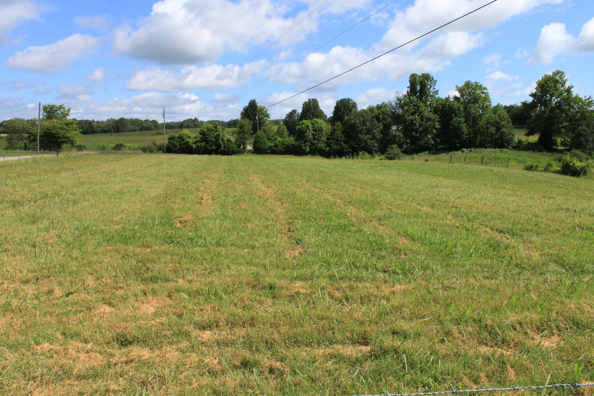 1 Old Mill Hill Road Dowelltown, TN 37059 - Photo 8 of 11