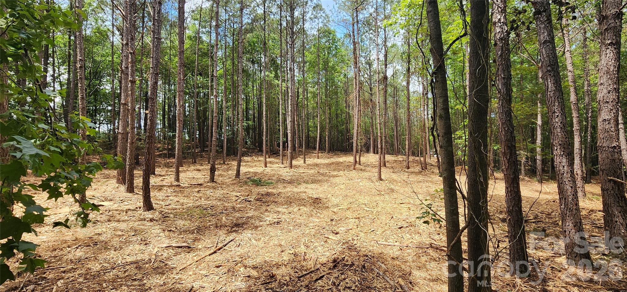 4870 Old Airport Road Winnsboro, SC 29180 - Photo 19 of 38