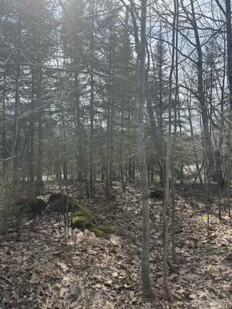 $29,900 | 4-10 Firesteel Road, Ontonagon, MI 49953