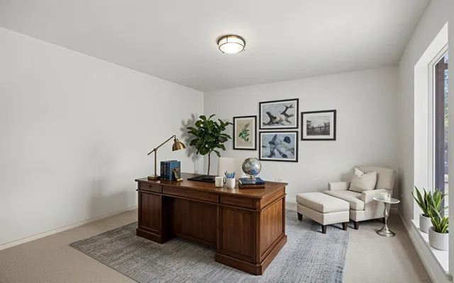 a living room with furniture and potted plant